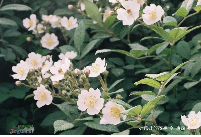 拥有“共情力”,三观不同也能做朋友 - 靖西网 拥有“共情力”,三观不同也能做朋友 - 靖西网