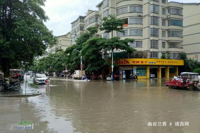 4个靖西简讯，暴雨突袭，请车主到交警直属二大队违法处理室认领车牌！！ - 靖西网