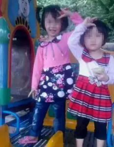 “柳江两姐妹遇害案”被告人被提起公诉 - 靖西网