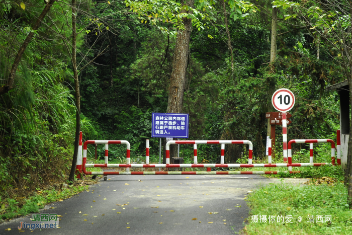 五岭林场，森林公园的三大危险地方，有马蜂窝，你都记住了吗？ - 靖西网