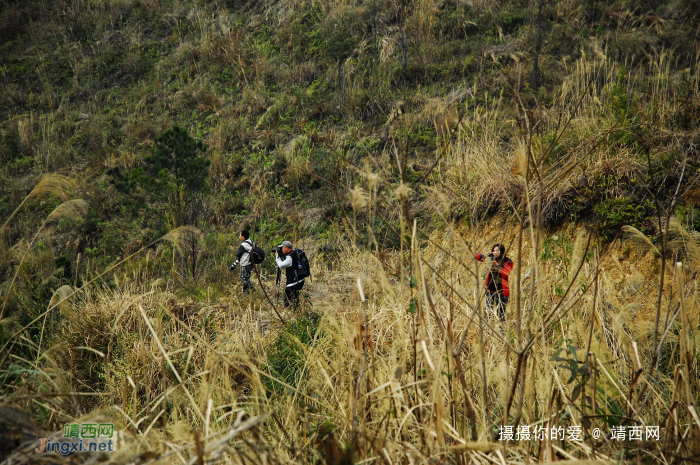 五岭林场，森林公园的三大危险地方，有马蜂窝，你都记住了吗？ - 靖西网