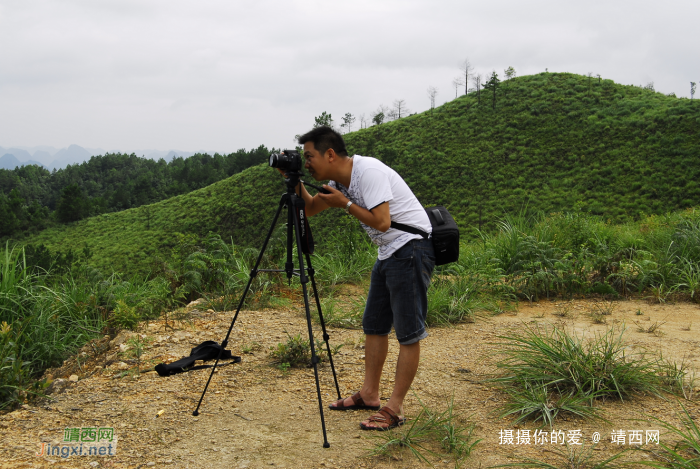 五岭林场，森林公园的三大危险地方，有马蜂窝，你都记住了吗？ - 靖西网