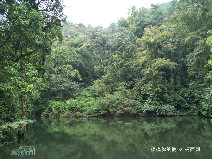 吕平（准国际）森林公园 - 靖西网
