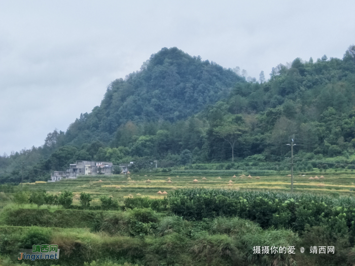 巴泽梯田节后照片。 - 靖西网