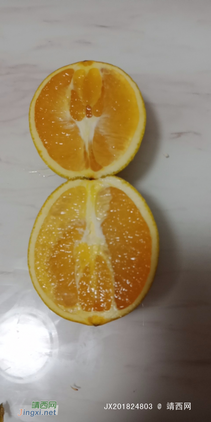 卖脐橙（那坡县那万脐橙，美国引进的脐橙品种） - 靖西网