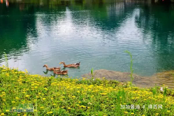 靖西，青山环绕，田园如画！还有清代建的拱桥 - 靖西网