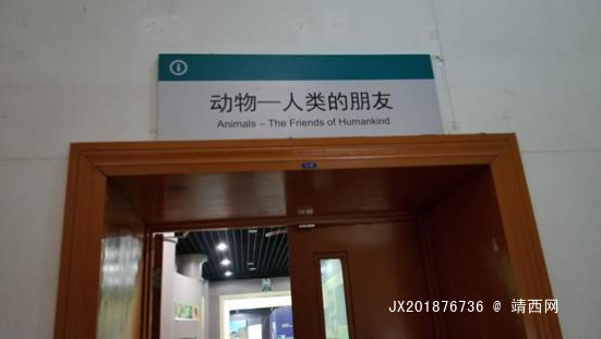 北京自然博物馆一日游，其实大人也应该来看看 - 靖西网