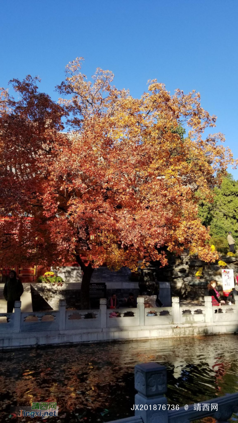 爬香山赏红叶，晒晒北京的秋景 - 靖西网