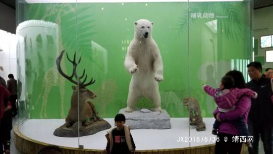 北京自然博物馆一日游，其实大人也应该来看看 - 靖西网