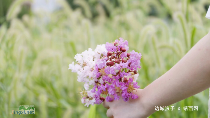 竹筒饭、美女、稻草间，一次完美的田间邂逅 - 靖西网