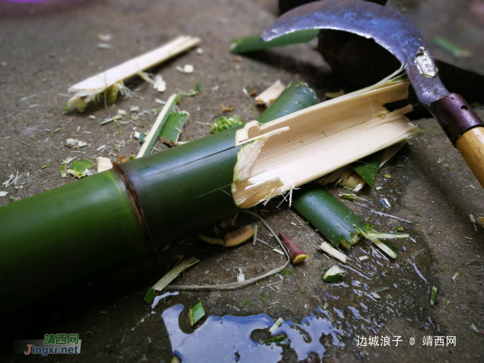 竹筒饭、美女、稻草间，一次完美的田间邂逅 - 靖西网