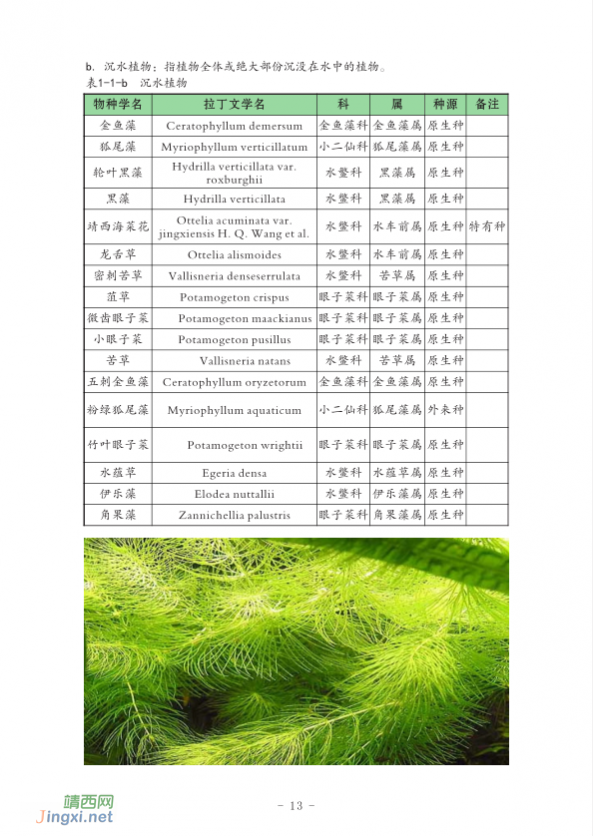 龙潭国家湿地公园湿地生物资源  (个人知产论文) - 靖西网 - 第2页