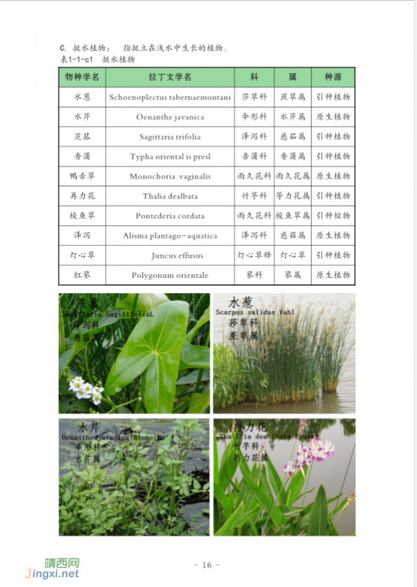 龙潭国家湿地公园湿地生物资源  (个人知产论文) - 靖西网 - 第2页