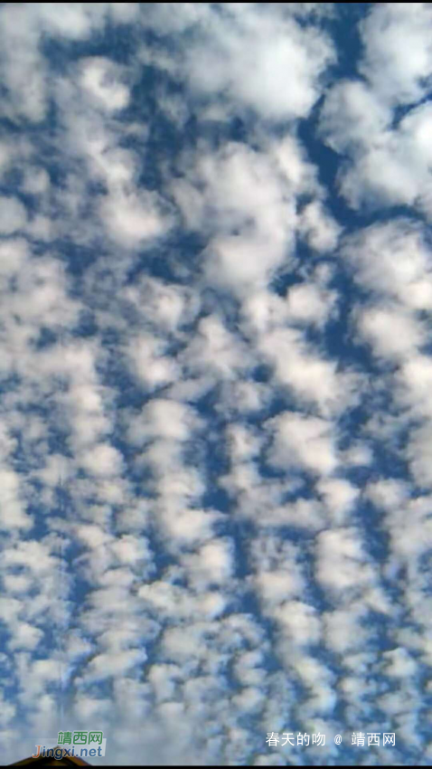 见识一下什么叫真正的蓝天白云 - 靖西网