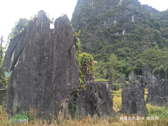 手游岳圩石林 - 靖西网