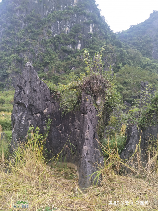 手游岳圩石林 - 靖西网