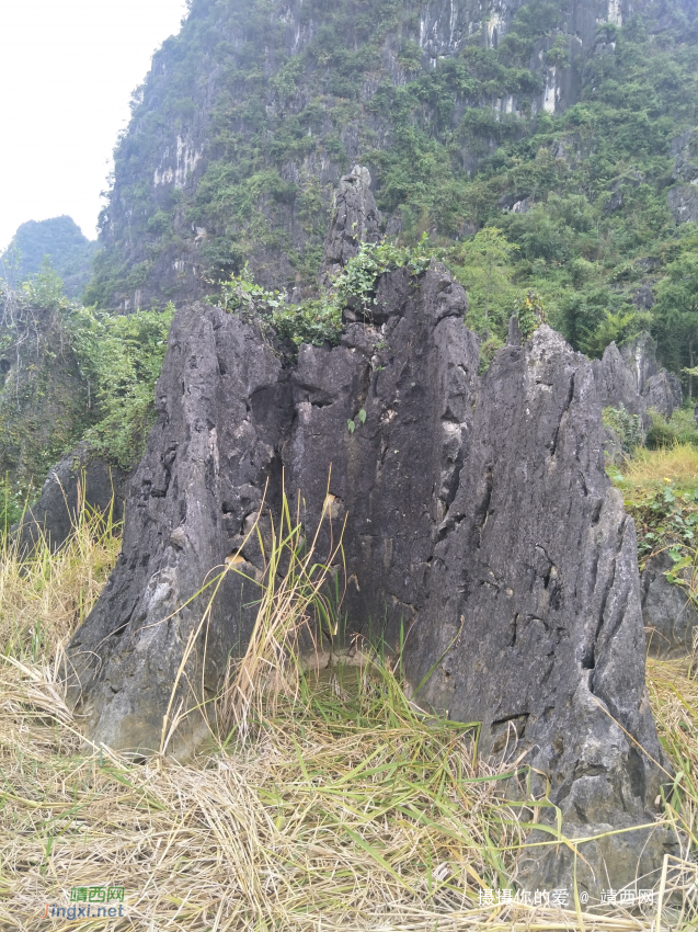 手游岳圩石林 - 靖西网