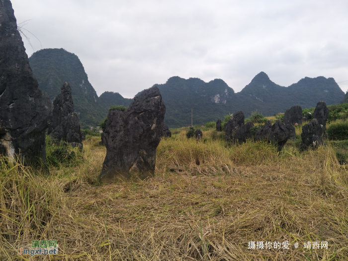 手游岳圩石林 - 靖西网