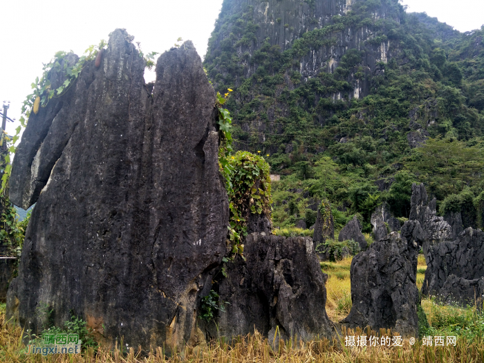 手游岳圩石林 - 靖西网 - 第2页