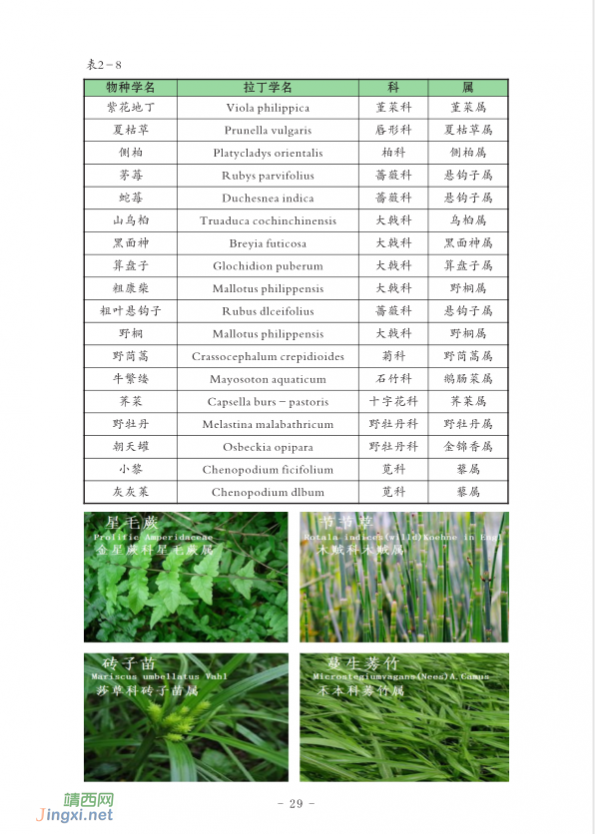 龙潭国家湿地公园湿地生物资源  (个人知产论文) - 靖西网