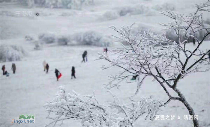 重庆仙女山终迎降雪,高清雪景美图养眼! - 靖西网 重庆仙女山终迎降雪,高清雪景美图养眼! - 靖西网