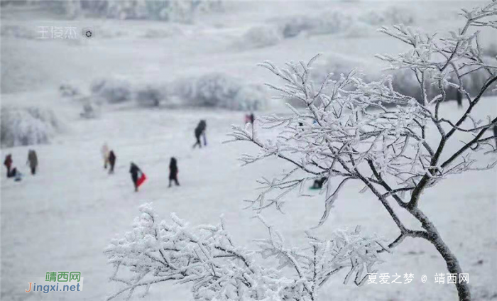 重庆仙女山终迎降雪，高清雪景美图养眼！ - 靖西网