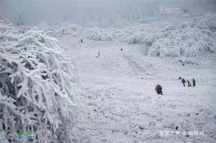 重庆仙女山终迎降雪,高清雪景美图养眼! - 靖西网 重庆仙女山终迎降雪,高清雪景美图养眼! - 靖西网