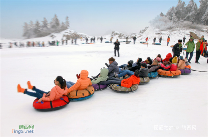 重庆仙女山终迎降雪，高清雪景美图养眼！ - 靖西网