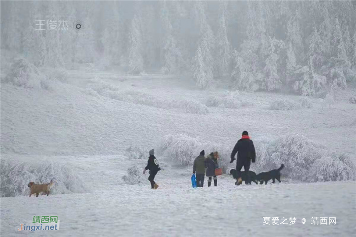 重庆仙女山终迎降雪,高清雪景美图养眼! - 靖西网 重庆仙女山终迎降雪,高清雪景美图养眼! - 靖西网