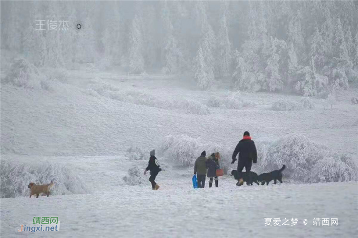 重庆仙女山终迎降雪，高清雪景美图养眼！ - 靖西网