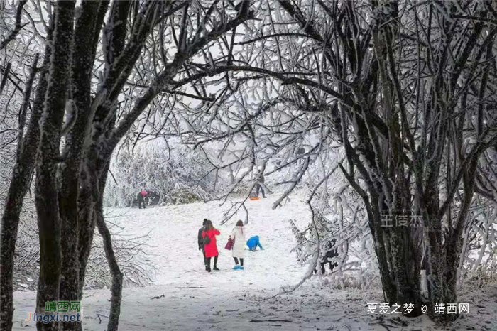 重庆仙女山终迎降雪，高清雪景美图养眼！ - 靖西网