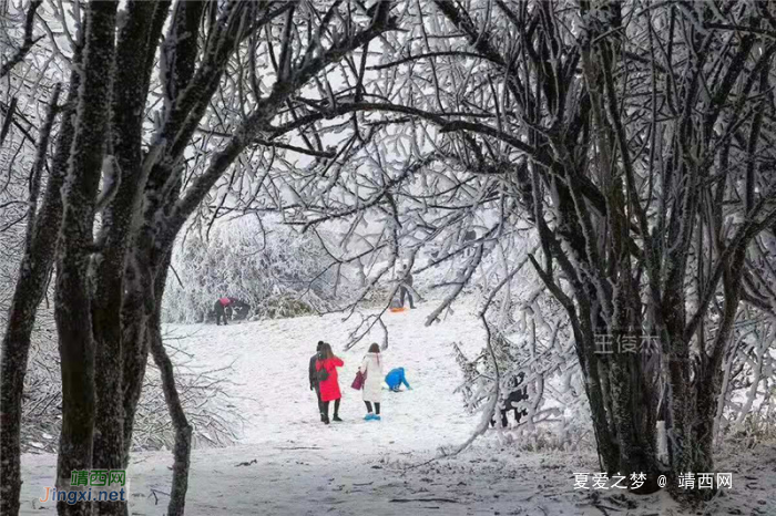 重庆仙女山终迎降雪,高清雪景美图养眼! - 靖西网 重庆仙女山终迎降雪,高清雪景美图养眼! - 靖西网
