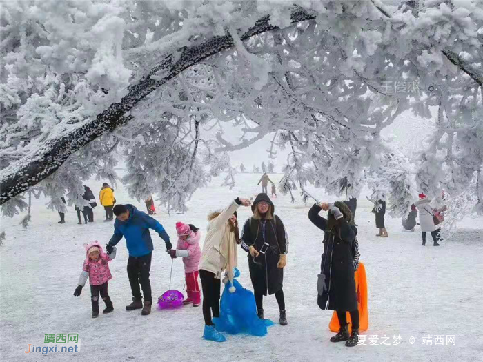 重庆仙女山终迎降雪,高清雪景美图养眼! - 靖西网 重庆仙女山终迎降雪,高清雪景美图养眼! - 靖西网