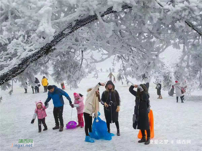 重庆仙女山终迎降雪，高清雪景美图养眼！ - 靖西网