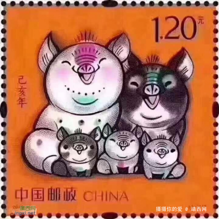 今天，猪，看看吧，猪年快乐! - 靖西网