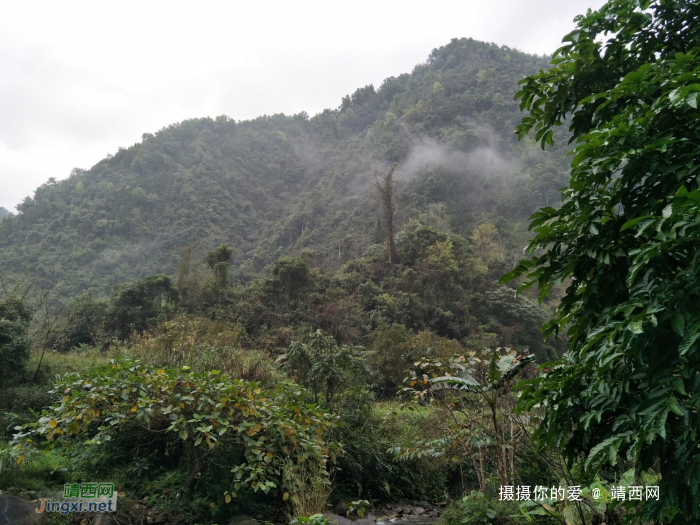 雨游念八部落 - 靖西网