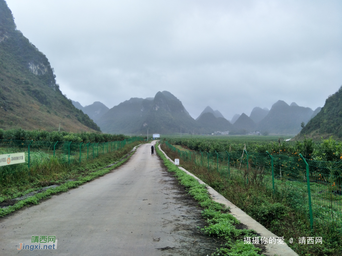 冒雨游五权千亩果园 - 靖西网