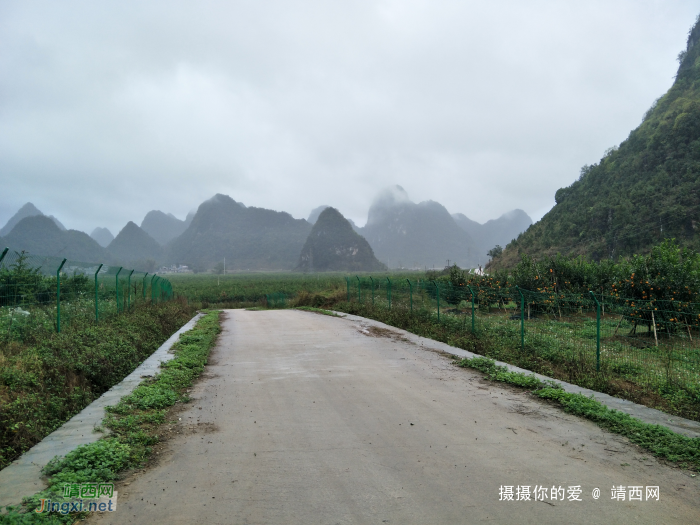 冒雨游五权千亩果园 - 靖西网