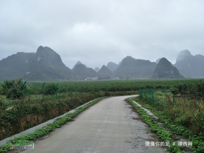 冒雨游五权千亩果园 - 靖西网