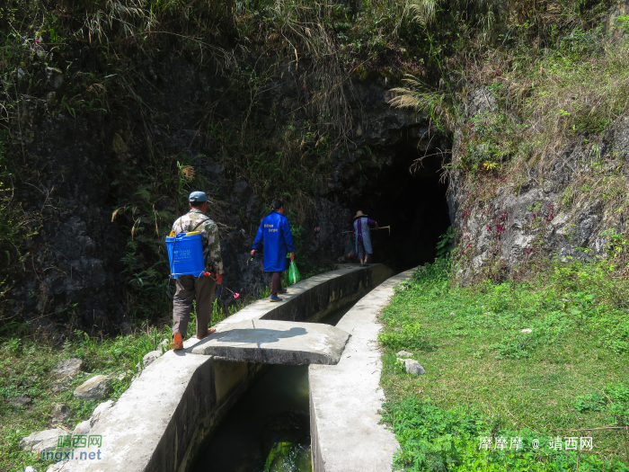 靖西市坡豆河探秘之——录峒平稳河段源头 - 靖西网