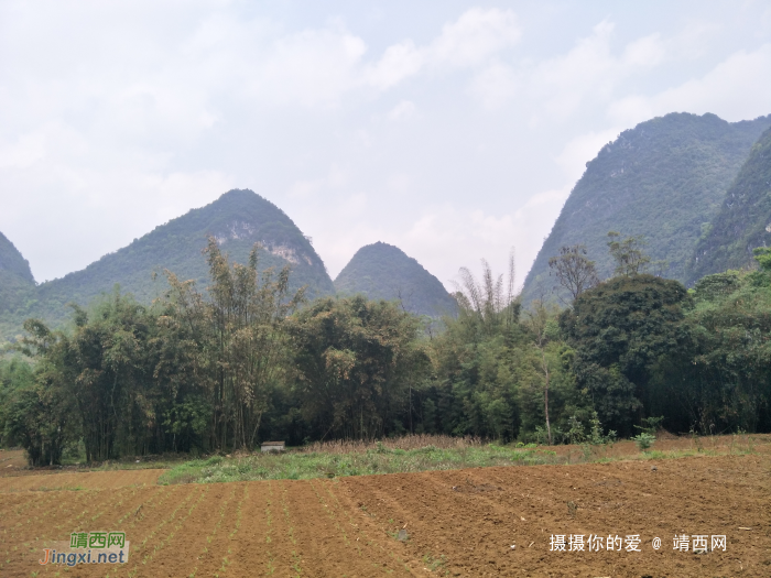 扫墓，踏青，累并快乐着 - 靖西网