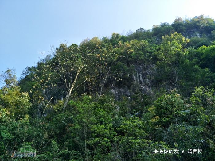 春风迎面游大甲--渠洋 - 靖西网 - 第2页