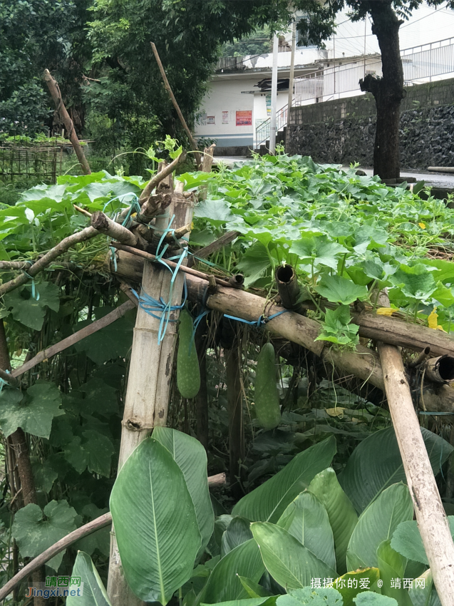 雨后的乡下。 - 靖西网