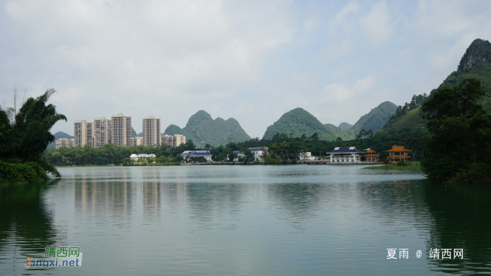 靖西龙潭湿地公园夏天的景色 - 靖西网