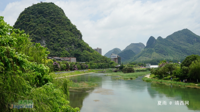 靖西龙潭湿地公园夏天的景色 - 靖西网