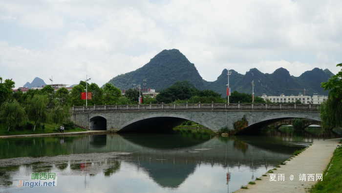 靖西龙潭湿地公园夏天的景色 - 靖西网