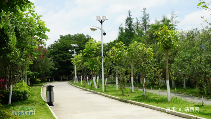 靖西龙潭湿地公园夏天的景色 - 靖西网