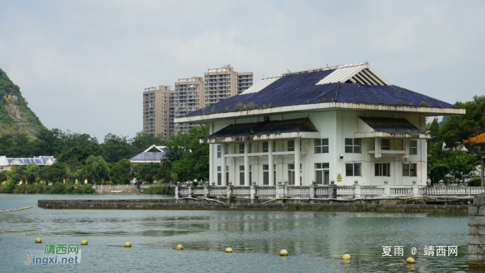 靖西龙潭湿地公园夏天的景色 - 靖西网