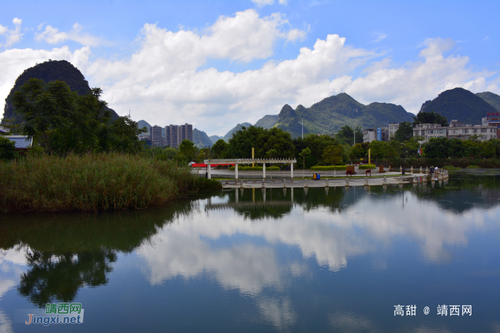 湿地公园的紫薇花 - 靖西网