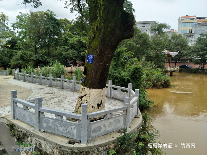 中山公园前木地板和木护栏终于换了 - 靖西网